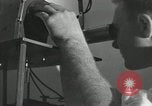 Image of radioactive material Canada, 1948, second 37 stock footage video 65675068345