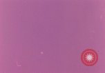 Image of atomic energy Russia Soviet Union, 1956, second 5 stock footage video 65675068347