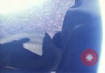 Standbild Crew von B-52D Flugzeuge Thailand, 1970, aus Sekunde 39 historischem Filmmaterial Videoclip 65675068372
