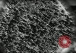 Standbild Biwak Bereich United States USA, 1942, aus Sekunde 51 historischem Filmmaterial Videoclip 65675068401