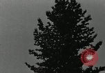 Standbild Biwak Bereich United States USA, 1942, aus Sekunde 54 historischem Filmmaterial Videoclip 65675068402