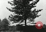 Standbild Biwak Bereich United States USA, 1942, aus Sekunde 56 historischem Filmmaterial Videoclip 65675068402