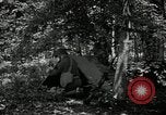 Image of Bivouac Area United States USA, 1942, second 4 stock footage video 65675068403