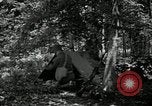 Image of Bivouac Area United States USA, 1942, second 5 stock footage video 65675068403
