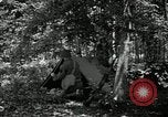 Image of Bivouac Area United States USA, 1942, second 6 stock footage video 65675068403