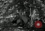 Image of Bivouac Area United States USA, 1942, second 7 stock footage video 65675068403