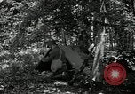 Image of Bivouac Area United States USA, 1942, second 8 stock footage video 65675068403