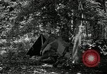 Image of Bivouac Area United States USA, 1942, second 10 stock footage video 65675068403