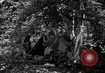 Image of Bivouac Area United States USA, 1942, second 17 stock footage video 65675068403