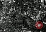 Image of Bivouac Area United States USA, 1942, second 25 stock footage video 65675068403