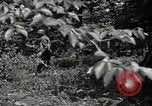 Image of Bivouac Area United States USA, 1942, second 29 stock footage video 65675068403