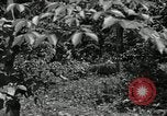 Image of Bivouac Area United States USA, 1942, second 30 stock footage video 65675068403