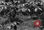 Image of Bivouac Area United States USA, 1942, second 31 stock footage video 65675068403