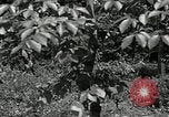 Image of Bivouac Area United States USA, 1942, second 32 stock footage video 65675068403