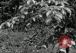 Image of Bivouac Area United States USA, 1942, second 34 stock footage video 65675068403