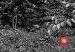 Image of Bivouac Area United States USA, 1942, second 37 stock footage video 65675068403