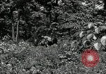 Image of Bivouac Area United States USA, 1942, second 38 stock footage video 65675068403