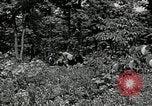 Image of Bivouac Area United States USA, 1942, second 39 stock footage video 65675068403