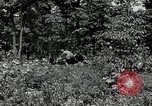 Image of Bivouac Area United States USA, 1942, second 40 stock footage video 65675068403