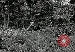 Image of Bivouac Area United States USA, 1942, second 41 stock footage video 65675068403