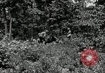 Image of Bivouac Area United States USA, 1942, second 42 stock footage video 65675068403