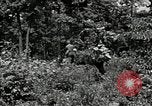 Image of Bivouac Area United States USA, 1942, second 44 stock footage video 65675068403