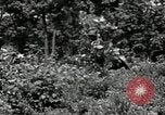 Image of Bivouac Area United States USA, 1942, second 45 stock footage video 65675068403
