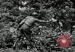 Image of Bivouac Area United States USA, 1942, second 47 stock footage video 65675068403