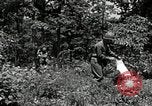 Image of Bivouac Area United States USA, 1942, second 57 stock footage video 65675068403