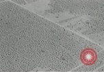 Image of flat net camouflage techniques World War 2 United States USA, 1942, second 33 stock footage video 65675068404
