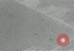 Image of flat net camouflage techniques World War 2 United States USA, 1942, second 34 stock footage video 65675068404