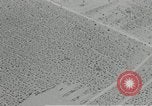 Image of flat net camouflage techniques World War 2 United States USA, 1942, second 36 stock footage video 65675068404