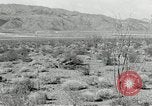 Image of flat net camouflage techniques World War 2 United States USA, 1942, second 39 stock footage video 65675068404