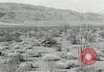 Image of flat net camouflage techniques World War 2 United States USA, 1942, second 41 stock footage video 65675068404