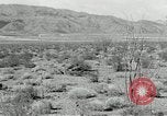 Image of flat net camouflage techniques World War 2 United States USA, 1942, second 44 stock footage video 65675068404