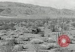 Image of flat net camouflage techniques World War 2 United States USA, 1942, second 46 stock footage video 65675068404