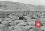 Image of flat net camouflage techniques World War 2 United States USA, 1942, second 47 stock footage video 65675068404
