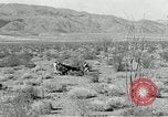 Image of flat net camouflage techniques World War 2 United States USA, 1942, second 49 stock footage video 65675068404