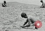 Image of flat net camouflage techniques World War 2 United States USA, 1942, second 62 stock footage video 65675068404