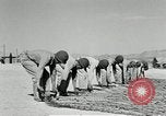 Image of folding a camouflage flat net United States USA, 1942, second 26 stock footage video 65675068405