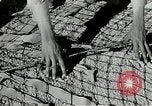 Image of folding a camouflage flat net United States USA, 1942, second 29 stock footage video 65675068405