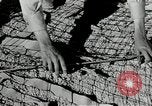 Image of folding a camouflage flat net United States USA, 1942, second 30 stock footage video 65675068405
