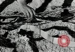 Image of folding a camouflage flat net United States USA, 1942, second 34 stock footage video 65675068405