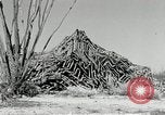 Standbild flat net United States USA, 1942, aus Sekunde 42 historischem Filmmaterial Videoclip 65675068406