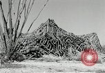 Standbild flat net United States USA, 1942, aus Sekunde 43 historischem Filmmaterial Videoclip 65675068406
