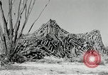 Standbild flat net United States USA, 1942, aus Sekunde 44 historischem Filmmaterial Videoclip 65675068406