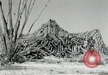Standbild flat net United States USA, 1942, aus Sekunde 45 historischem Filmmaterial Videoclip 65675068406