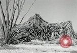 Standbild flat net United States USA, 1942, aus Sekunde 46 historischem Filmmaterial Videoclip 65675068406