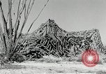 Standbild flat net United States USA, 1942, aus Sekunde 47 historischem Filmmaterial Videoclip 65675068406