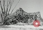 Standbild flat net United States USA, 1942, aus Sekunde 48 historischem Filmmaterial Videoclip 65675068406